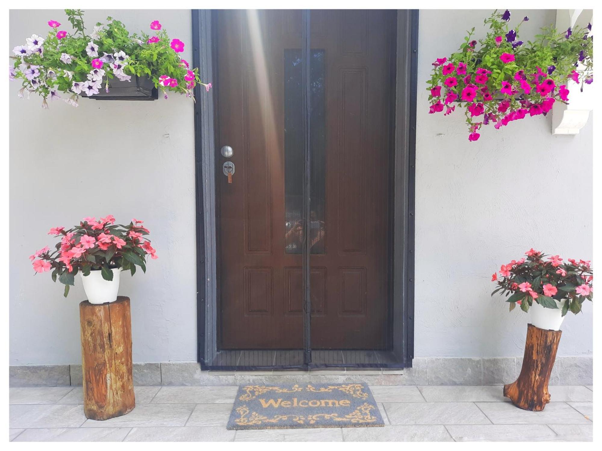 La Casina Bed and Breakfast Trecasali Buitenkant foto